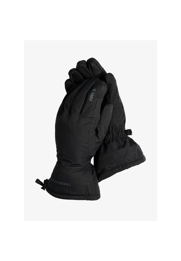 Rękawiczki Trekmates Classic DRY Glove. Kolor: czarny. Sezon: zima. Sport: narciarstwo