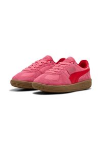 Puma Buty Palermo Love Jr 40093601. Kolor: różowy