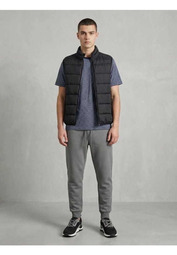 Sinsay - Spodnie dresowe jogger - szary. Kolor: szary. Materiał: dresówka