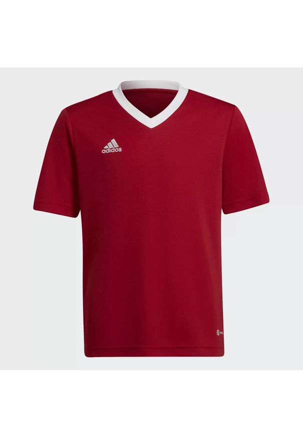 Adidas - Koszulka piłkarska dla dzieci adidas Entrada 22 Jersey. Kolor: czerwony. Materiał: poliester. Sport: piłka nożna