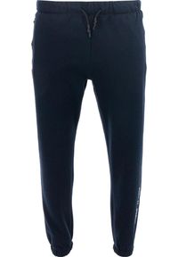 ZOOPLEMENTS - Męskie Spodnie Sportowe Silvano - Wygodne i Elastyczne. Kolor: niebieski. Materiał: poliester, bawełna. Długość: długie. Sport: fitness #2