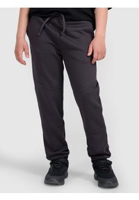4f - 4F Spodnie dresowe joggery chłopięce - szare 158 (12-13 lat). Okazja: na co dzień. Kolor: szary. Materiał: dresówka. Wzór: napisy, gładki, ze splotem, nadruk. Sezon: lato. Styl: młodzieżowy, casual, sportowy #2
