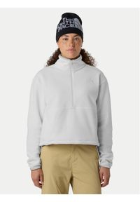 The North Face Polar Glacier NF0A8D2C Beżowy Regular Fit. Kolor: beżowy. Materiał: syntetyk #1