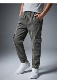 Sinsay - Jeansy jogger z efektem sprania - szary. Kolor: szary #1