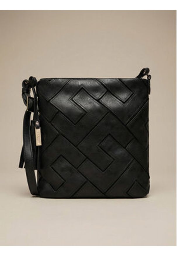 Lasocki Torebka C-MLP-E-024-05 Czarny. Kolor: czarny