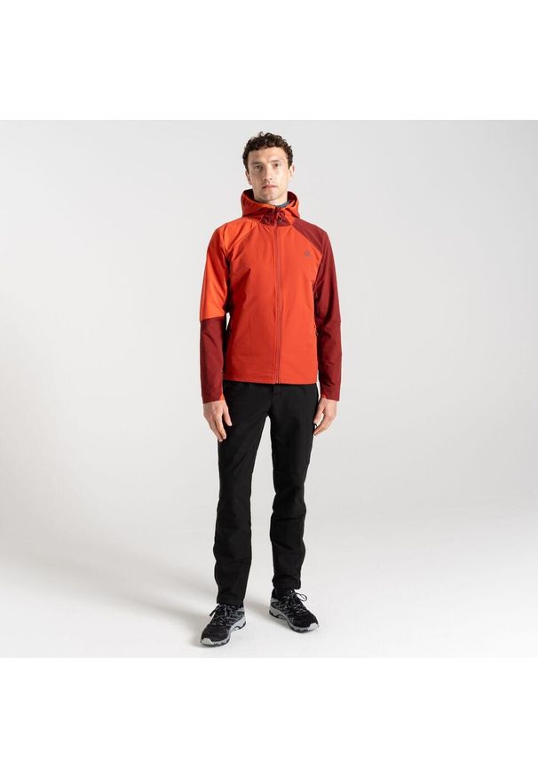 DARE 2B - Lattitudinal II męski softshell. Kolor: czerwony. Materiał: softshell