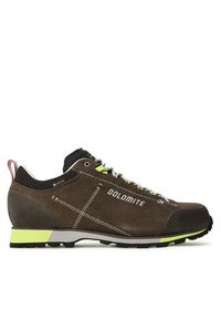 Dolomite Trekkingi 54 Hike Low Evo M Gtx GORE-TEX 289208 Khaki. Kolor: brązowy. Technologia: Gore-Tex. Sport: turystyka piesza