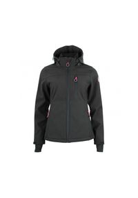 PEAK MOUNTAIN - Kurtka damska Peak Mountain Softshell Aclaudioffn. Typ kołnierza: kołnierzyk stójkowy. Kolor: czarny. Materiał: softshell. Sport: turystyka piesza #1