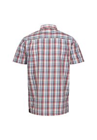 Regatta - Koszula Męska Wzory Z Krótkim Rękawem Mindano VIII. Kolor: niebieski, wielokolorowy, różowy, czerwony, turkusowy. Długość rękawa: krótki rękaw. Długość: krótkie. Sport: turystyka piesza #2