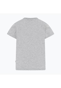 LEGO Wear - Koszulka trekkingowa dziecięca LEGO Lwtaylor 317. Kolor: szary