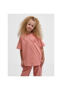 Koszulka dla dzieci Hummel Clean. Kolor: różowy. Sport: joga i pilates #1