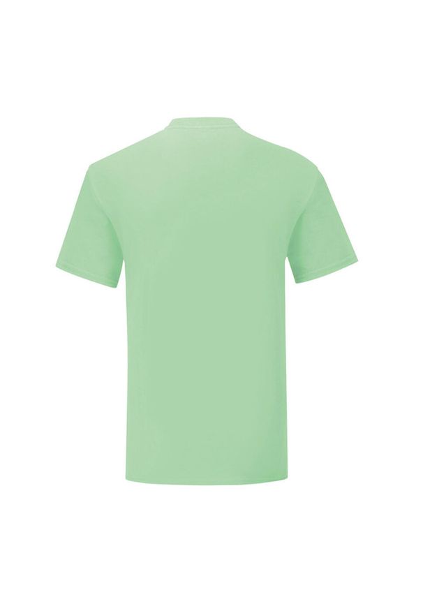 FRUIT OF THE LOOM - Męska Koszulka Iconic 150. Kolor: zielony. Sport: turystyka piesza