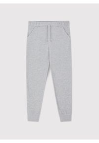 Pako Lorente - PAKO LORENTE - Szare spodnie dresowe. Okazja: na co dzień. Kolor: szary, niebieski. Materiał: dresówka. Wzór: gładki. Styl: casual #1