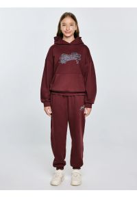 Big-Star - Bluza dziewczęca z kapturem z nadrukiem bordowa Rubilia 604. Typ kołnierza: kaptur. Kolor: czerwony. Materiał: dzianina. Wzór: nadruk. Styl: młodzieżowy, elegancki #6