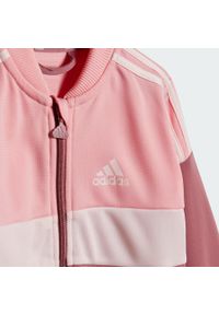 Adidas - Dres Tiberio 3-Stripes Colorblock Shiny Kids. Kolor: czerwony, wielokolorowy, różowy. Materiał: dresówka