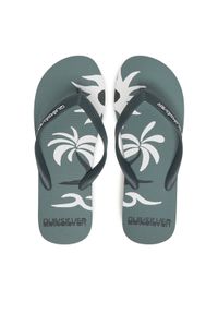 Quiksilver Japonki Molokai Screen AQYL101427 Zielony. Kolor: zielony. Materiał: syntetyk #1