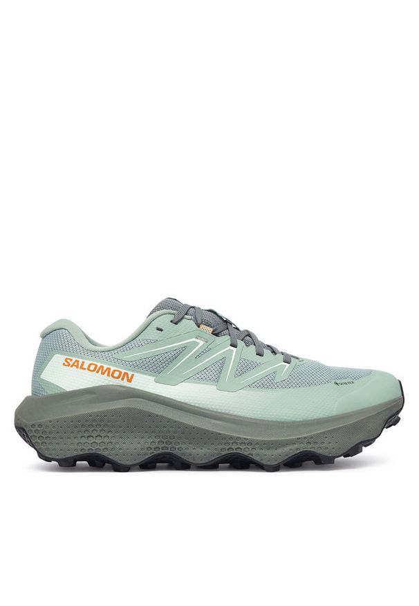 salomon - Buty do biegania Salomon. Kolor: zielony. Technologia: Gore-Tex