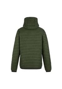 Regatta - Męska Ocieplana Kurtka Rigain. Kolor: wielokolorowy, czarny, zielony. Materiał: puch. Sport: turystyka piesza #2
