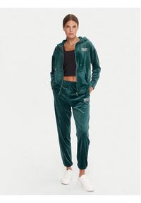 DKNY Sport Bluza DP5J9634 Zielony Regular Fit. Kolor: zielony. Materiał: syntetyk. Styl: sportowy