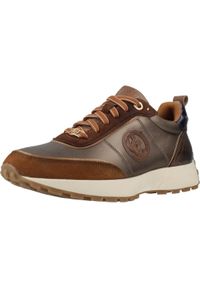 Carmela - Buty CARMELA 162699C Brązowy. Kolor: brązowy. Materiał: tkanina, skóra. Styl: sportowy