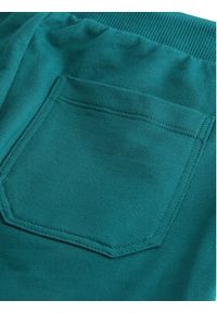 Original Marines Spodnie dresowe DDP2123B Zielony Regular Fit. Kolor: zielony. Materiał: bawełna #3