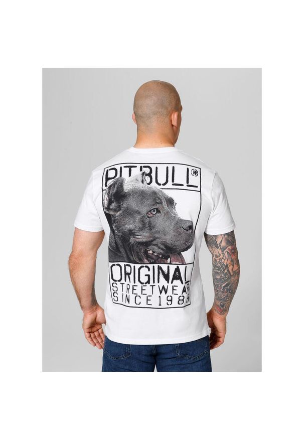 PITBULL - Koszulka bawełniana sportowy t-shirt dla dorosłych Origin. Kolor: wielokolorowy, szary, biały. Materiał: bawełna