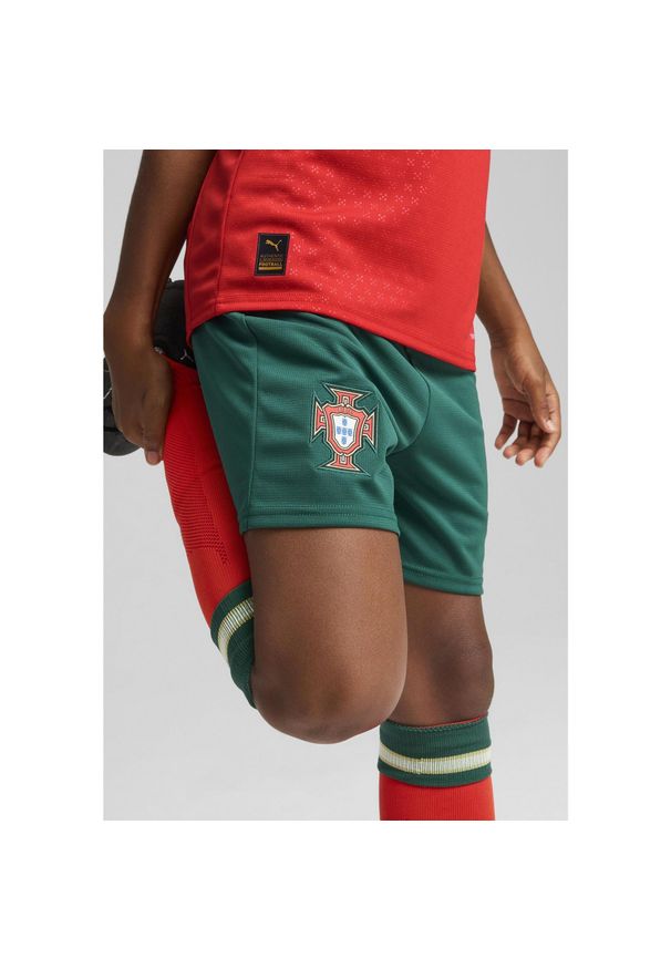 Puma - Młodzieżowe szorty Portugalia 2025 PUMA Blessing Green Sugared Almond Beige. Kolor: wielokolorowy, beżowy, zielony