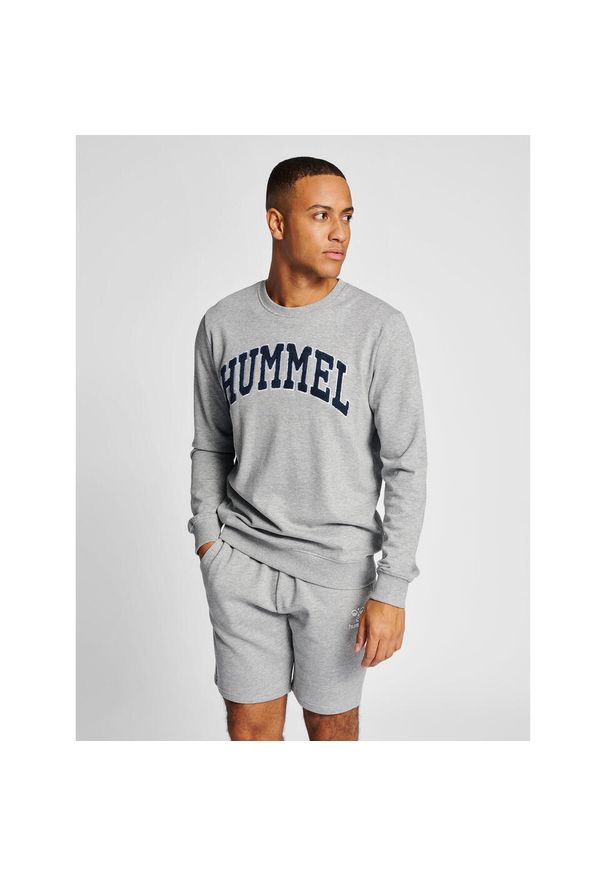 Bluza Hummel Ic Bill. Kolor: szary. Sport: fitness