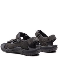 Jack Wolfskin Sandały Lakewood Cruise Sandal M 409011 Szary. Kolor: szary. Materiał: skóra #7