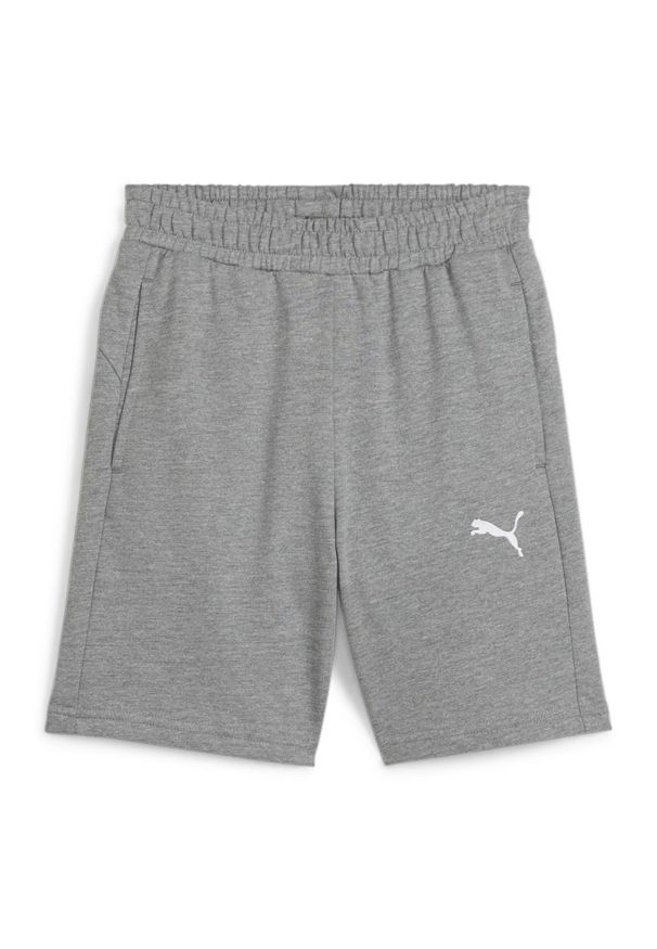 Szorty dla dzieci Puma TeamGoal. Kolor: szary. Styl: sportowy