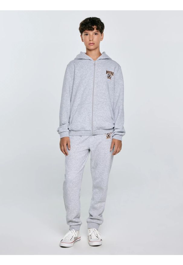 Big-Star - Spodnie chłopięce dresowe szare Lironp 901. Okazja: na co dzień. Kolor: szary. Materiał: dresówka. Wzór: haft. Styl: sportowy, klasyczny, casual, elegancki
