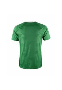 Jersey Craft Premier Solid. Kolor: zielony. Materiał: jersey. Sport: kolarstwo