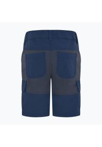 LEGO Wear - Spodenki trekkingowe dziecięce LEGO Lwpayton 300. Kolor: niebieski