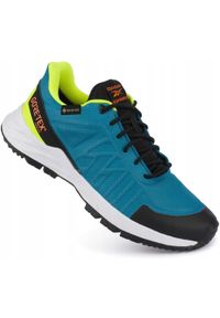 Reebok - Buty męskie sportowe GORE-TEX REEBOK ASTRORIDE TRAIL GTX 2.0. Kolor: niebieski. Technologia: Gore-Tex