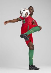Puma - Męskie szorty Maroko 2025 PUMA Red Archive Green. Kolor: zielony, czerwony, wielokolorowy. Sport: piłka nożna