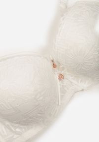 Renee - Jasnobeżowy Koronkowy Biustonosz Ozdobiony Przezroczystą Wstawką Acalinai. Kolor: beżowy. Materiał: koronka. Rodzaj stanika: przezroczysty. Wzór: aplikacja #2