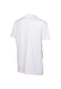 Koszulka Arena Team T-Shirt Panel. Kolor: biały. Materiał: materiał, skóra