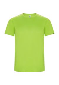 ROLY - Dziecięca/niemowlęca Koszulka Sportowa Imola Z Krótkim Rękawem. Kolor: zielony, wielokolorowy, żółty. Długość rękawa: krótki rękaw. Długość: krótkie. Sport: turystyka piesza