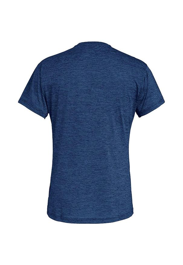 Salewa - Koszulka trekkingowa męska Puez Melange Dry Ss Tee. Kolor: wielokolorowy, niebieski, szary