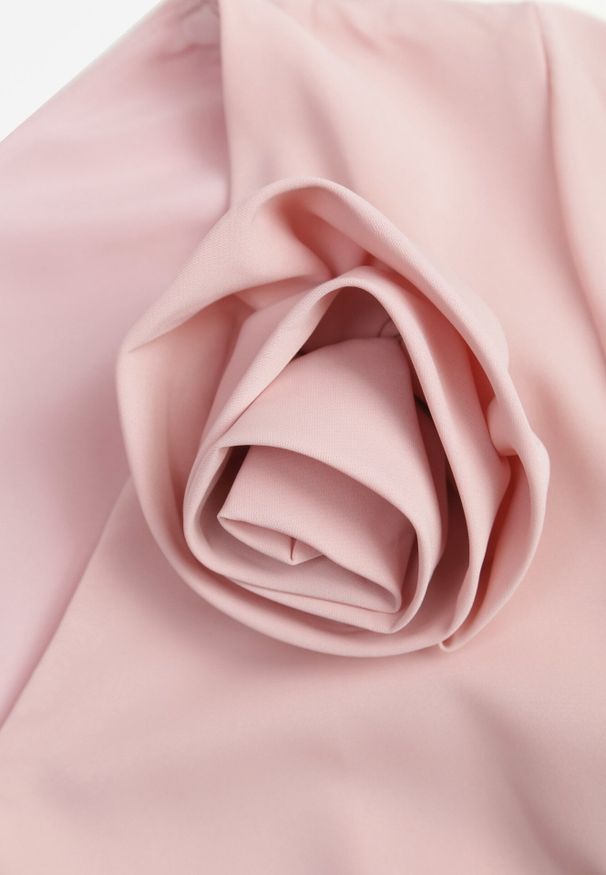 Born2be - Różowa Koktajlowa Sukienka VICES ze Zwiewnymi Rękawami i Kwiatową Aplikacją 3D Talilia. Okazja: na wesele, na ślub cywilny, na imprezę. Kolor: różowy. Wzór: aplikacja, kwiaty. Styl: wizytowy