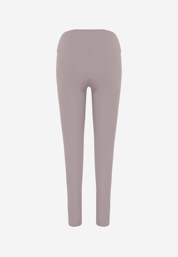 Renee - Jasnoszare Legginsy Basic z Modelującą Wstawką w Pasie Liacan. Okazja: na co dzień. Kolor: szary. Długość: krótkie. Styl: casual