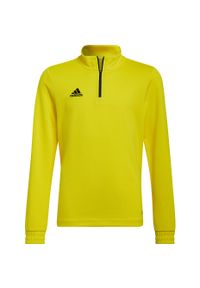 Adidas - Bluza piłkarska dla dzieci adidas Entrada 22 Training Top. Kolor: wielokolorowy, czarny, żółty. Materiał: materiał. Sport: piłka nożna