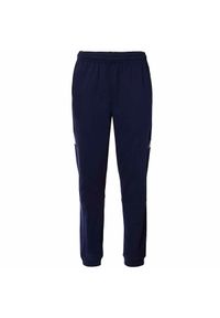 Spodnie do biegania Kappa Daceno. Kolor: niebieski. Materiał: bawełna, poliester. Sport: piłka nożna #1