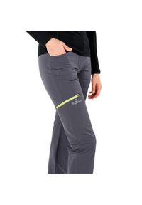 WOOLONA - Spodnie trekkingowe damskie Woolona Comfort Merino. Kolor: szary. Sezon: lato. Sport: turystyka piesza