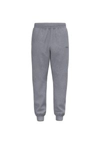 ERIMA - Spodnie dresowe Erima TS. Kolekcja: plus size. Kolor: szary. Materiał: dresówka. Sport: fitness, piłka nożna