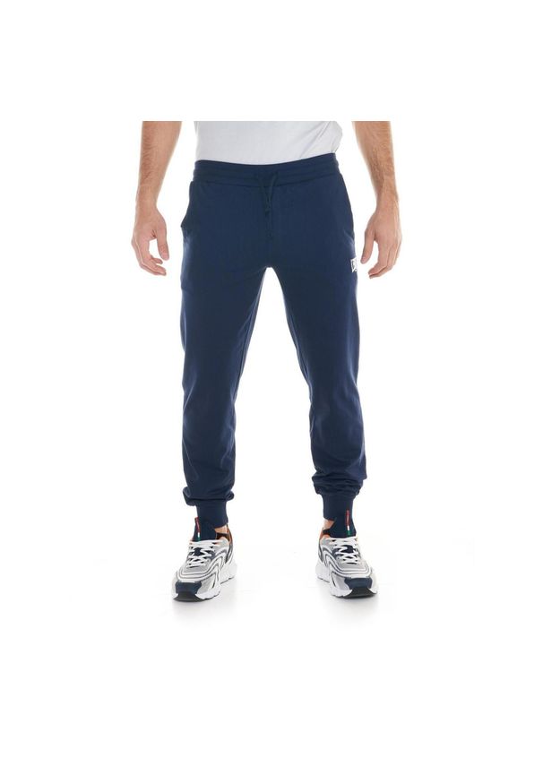LEONE 1947 APPAREL - Męskie spodnie sportowe z małym logo. Kolor: niebieski. Materiał: tkanina. Sport: fitness