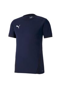 Koszulka męska Puma teamGOAL 23 Jersey. Kolor: biały, wielokolorowy, niebieski. Materiał: jersey