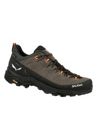 Buty Trekkingowe Męskie Salewa Alp Trainer 2 Gtx. Kolor: wielokolorowy, czarny, brązowy. Materiał: zamsz, materiał, syntetyk
