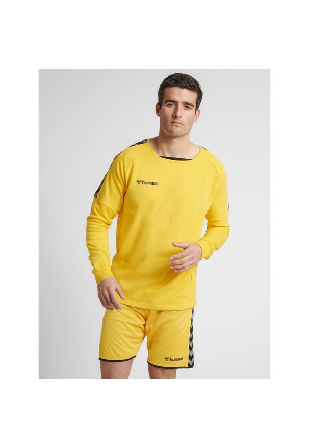 Bluza Hummel hmlAUTHENTIC Training. Kolor: pomarańczowy, żółty, wielokolorowy