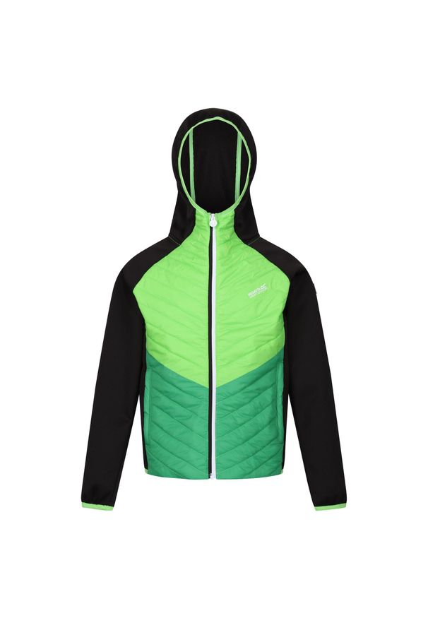 Regatta - Kurtka Dziecięca/dziecięca Kielder Hybrid VII Padded Jacket. Kolor: wielokolorowy, czarny, zielony